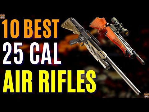 Top 10 Best .25 Air Rifle For Hunting 2024 | Best Air Rifles 2024
