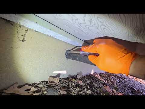 Properly Sealing Up the Entry Point for Mice...