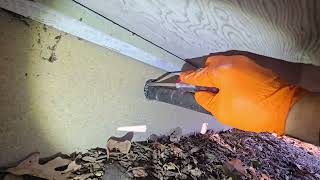 Watch video: Properly Sealing Up the Entry Point for Mice...