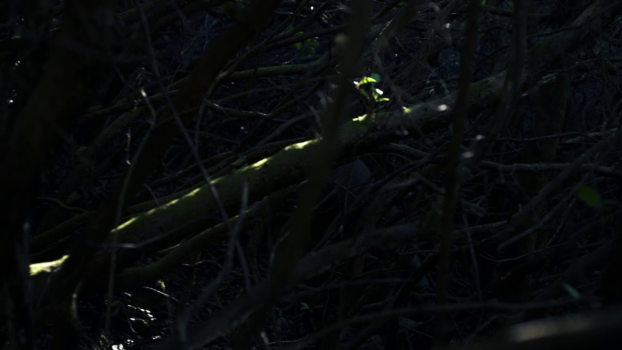 L'ULTIMU SOGNU - LAST DREAM IN PETRA BIANCA - Lisa Reboulleau | Doclisboa'19