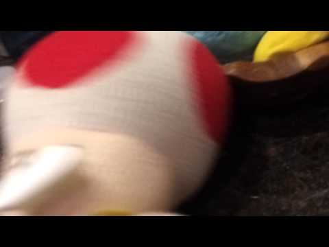 Toad song- The truth about toad