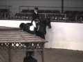 JH Shadow Danser - Arabian Horse Show Hack ...