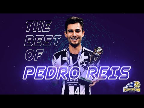 The best of Pedro Reis Nunes (Libero/Outside hitter/Opposite) 2019/2020 - PLAYERS ON VOLLEYBALL