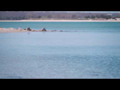 84 Louse Point Rd, East Hampton