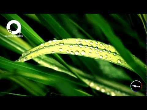 Conrad Winged & Ascania   Lighthouse Original Mix PROMO