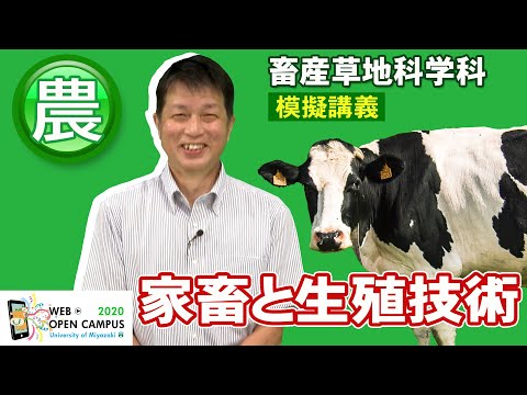 「家畜と生殖技術」農学部・續木 靖浩
