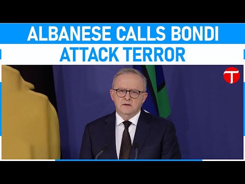 ‘Dark day in Australia’: Albanese calls for gun law review after Bondi shooting