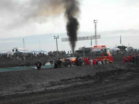 Jörn Budding case full pull @ Grimmen 07.07.2012