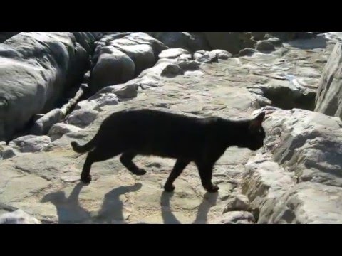 Matt Darey Feat. Izzy - Eternity