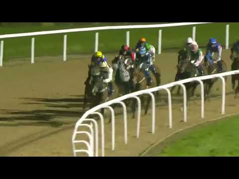 (Mickey Mongoose)4 Race Southwell 5 Mar 2024