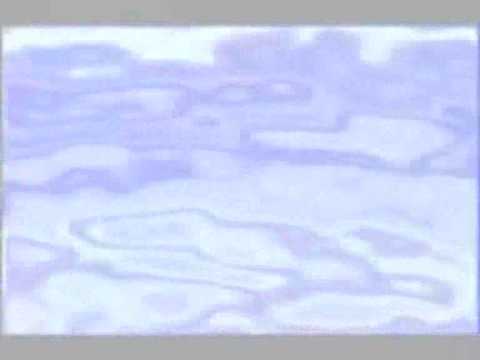 Little Eris - Karma to You