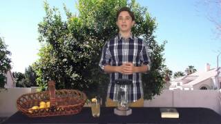 The Lemon Tree Review