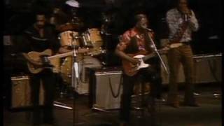 Muddy Waters - Baby Please Don&#39;t Go - ChicagoFest 1981