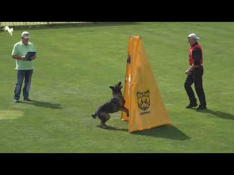 Druppi Ethen  -  MMCKNO 2021 - IGP 3   C 94