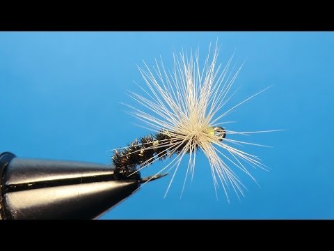 Paraloop dry fly