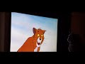 Lloyd The Cat Watching Aristocats