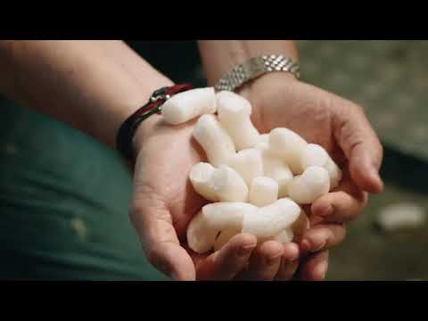 Vereinte Volksbank eG: MittelPunkt zu Gast bei der Loick AG