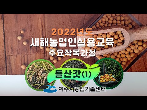 2022년도 새해농업인실용교육 – 돌산갓 1