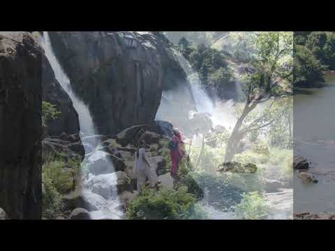 Miss You Alphonsa Aunty