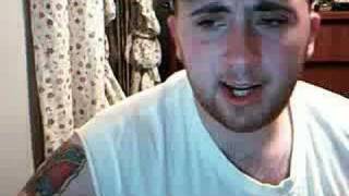 Stray dogs and alley cats cove