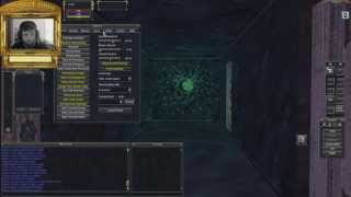Project 1999 new player tips and tricks   Sense Heading