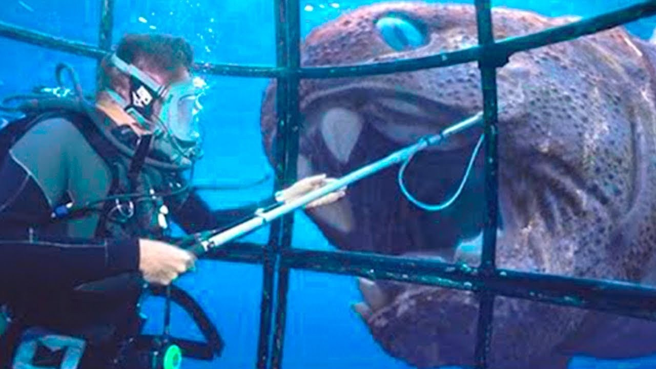 50 Coisas mais Assustadoras Encontradas no Oceano