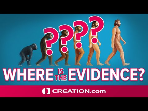 Where is the evidence for the ape-to-man transition?