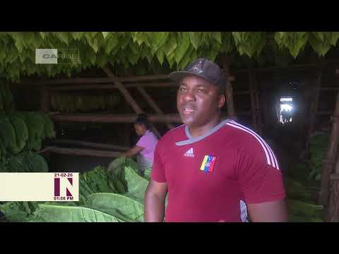 Juankiel Pulgaron León, agricultor de avanzada en San Juan y Martínez