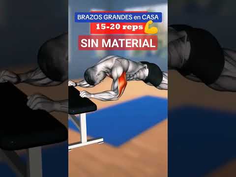 EJERCICIOS PARA TUS BRAZOS EN CASA SIN MATERIAL #entrenamiento #brazos