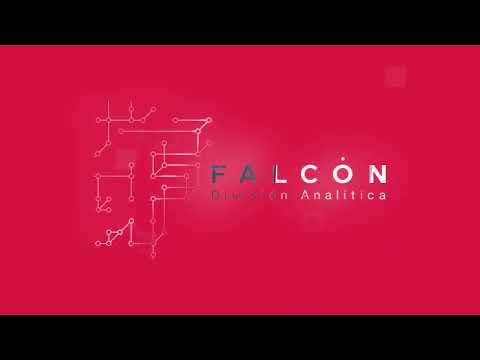 FALCON DIVISION ANALITICA