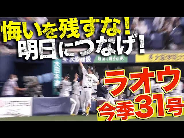 【悔いは残さぬ】バファローズ・杉本裕太郎『明日につなげるアーチ・今季31号』