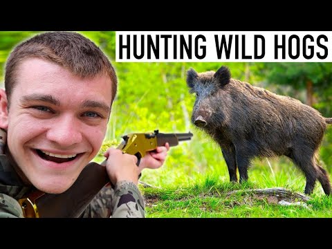 HUNTING MASSIVE WILD HOGS! (ft. Deer Meat For Dinner)