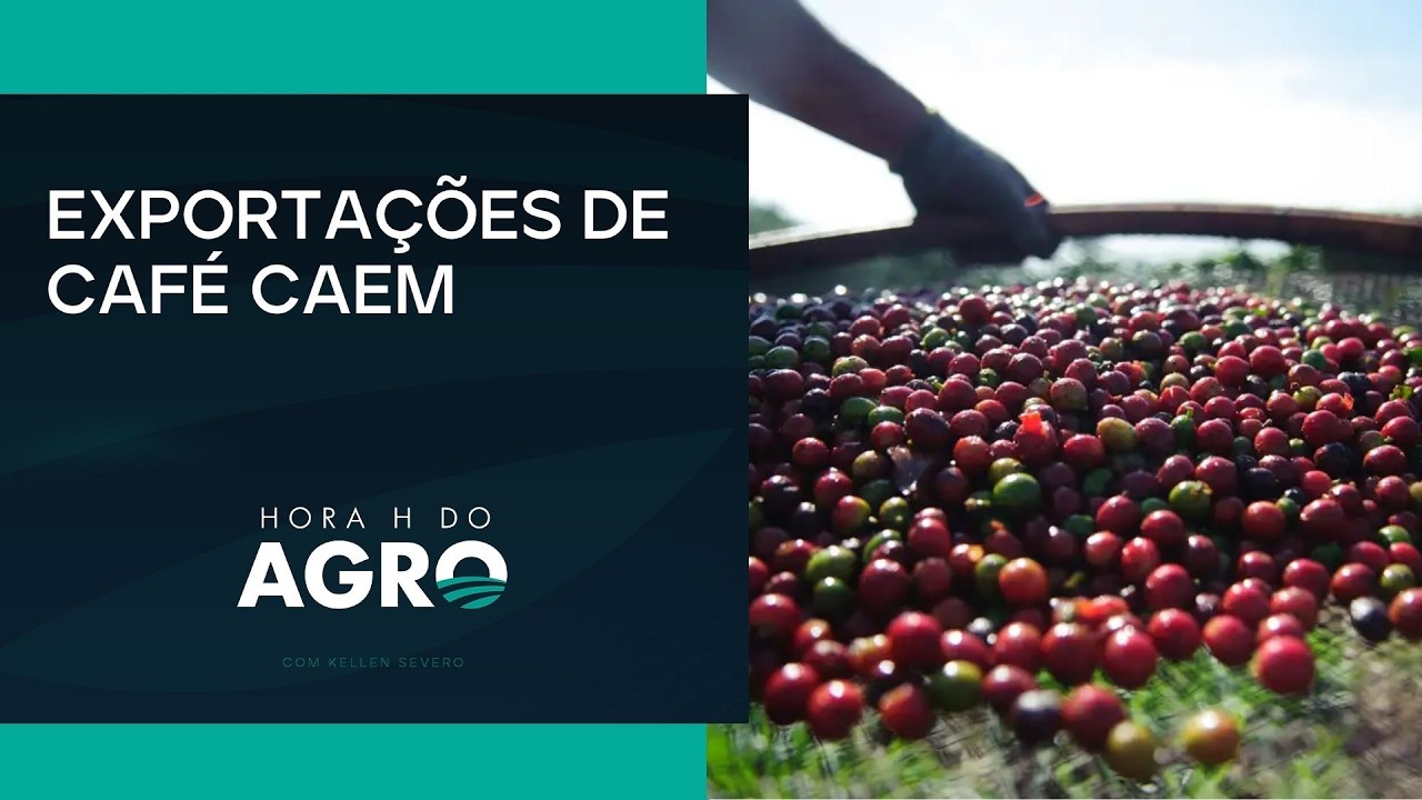 Café Brasileiro Registra Piora nas Exportações em Março de 2026
