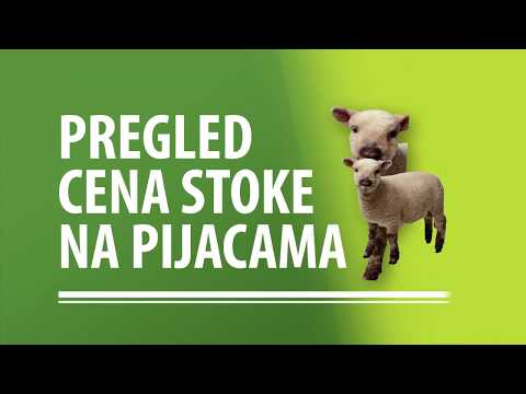 Pad cena tovnih bikova