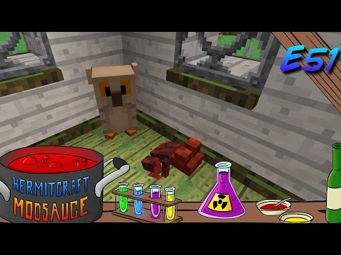 Minecraft Mods - ModSauce - OWLS AND TOADS! ( Hermitcraft Modded Minecraft Witchery E51 )