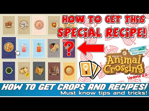 ACNH Guide to Start COOKING! SPECIAL RECIPE and Gathering CROPS in Animal Crossing New Horizons!