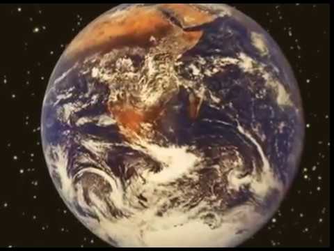 LOS PAKINES - VENUS  (HQ)