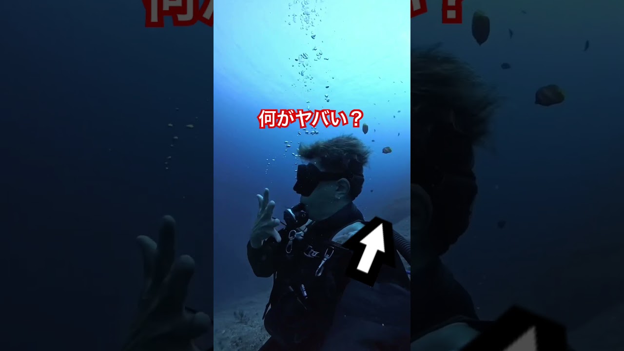 デカ過ぎてビビった