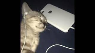 24/7 - the neighbourhood [speed up/nightcore]