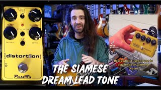 Video thumbnail for Siamese Dream Lead Tone without the Price Tag | PastFx distortiion by Leon Todd
