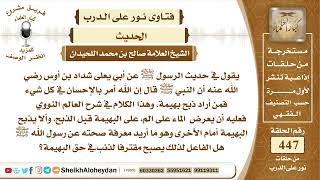 صورة 5659 -  حكم حديث أن يعرض الماء على البهيمة قبل الذبح، وألا يذبح البهيمة أمام الأخرى- نور على الدرب
