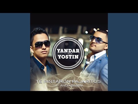 Te Pintaron Pajaritos (Radio Edit) (feat. Andy Rivera)