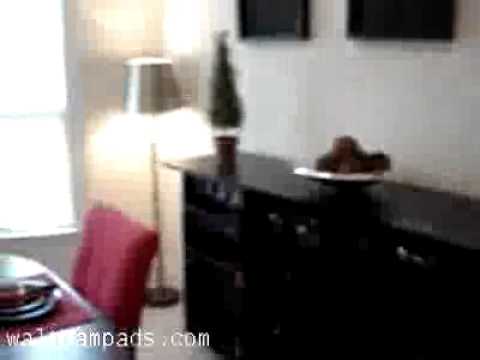 excellent apartment for rent in Waltham MA