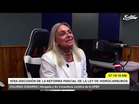 ¿Inversión privada? Todo sobre la reforma de Ley de Hidrocarburos | Román Lozinski