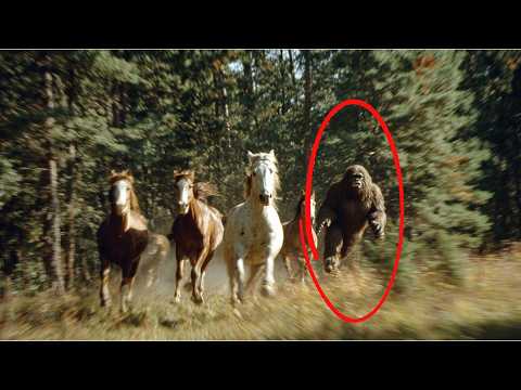 This SHOCKING Trail Image Has Left Experts Baffled