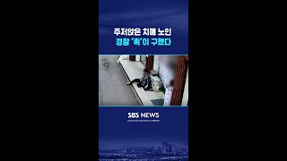 주저앉은 치매 노인..경찰 ‘촉’이 구했다 #shorts