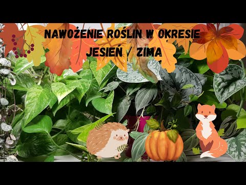 , title : 'Nawożenie roślin w okresie jesień / zima'