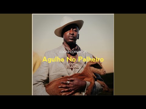 Agulha No Palheiro