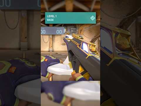 Cursed Random Skins on VALORANT in Level 1 | Prime Vandal