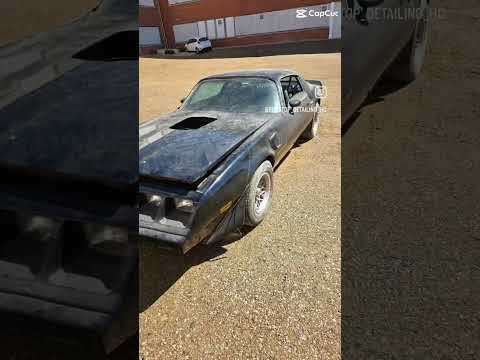Restoration of a 1979 Trans Am sitting for 10+ years!